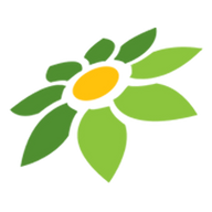 INSTAGRAM PNG ICON